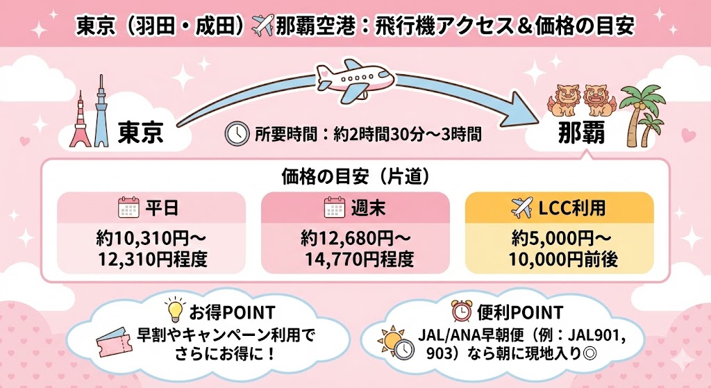 沖縄サントリーアリーナへ東京からの交通手段（飛行機）