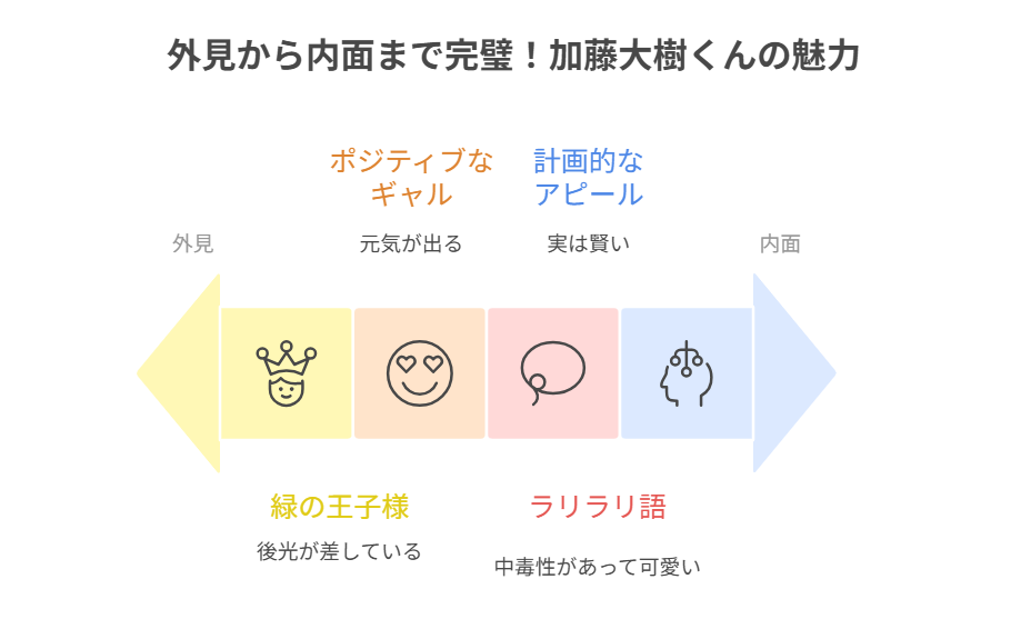 加藤大樹くんの魅力